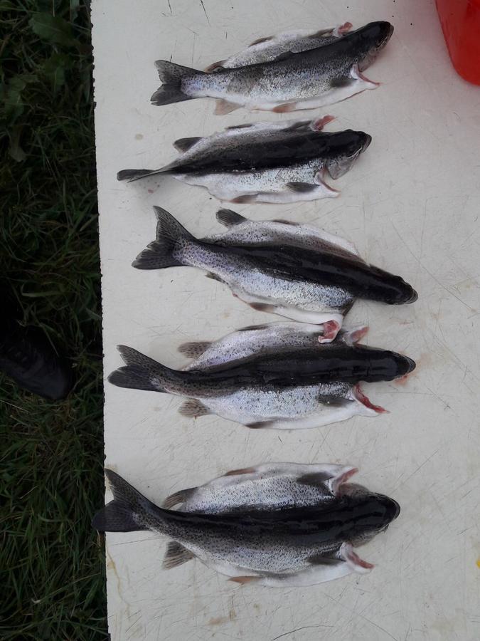 Fish Hotel Akhalkalaki Bagian luar foto